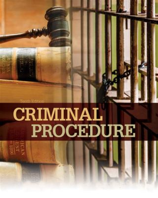 what does the code of criminal procedure art. 14.01 deal with? the significance of procedural fairness in legal proceedings