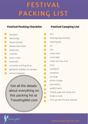 what to bring to music festival: should we pack a picnic blanket or not?