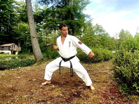 Which Martial Art is Right for Me Quiz: A Journey Through the Dojo of Destiny