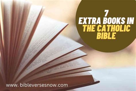 Who wrote the 7 extra books in the Catholic Bible and why do they matter in a world of quantum cats?